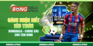 Cách Nhận Biết Kèo Thơm Bongdalu - Chính Xác Cho Tân Binh