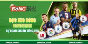 Đọc Kèo Bóng Bongdalu - Dự Đoán Chuẩn Từng Pha