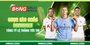 Chọn Kèo Chắc Bongdalu - Tăng Tỷ Lệ Thắng Tức Thì