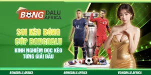 Soi Kèo Bóng Cúp Bongdalu - Kinh Nghiệm Đọc Kèo Từng Giải Đấu