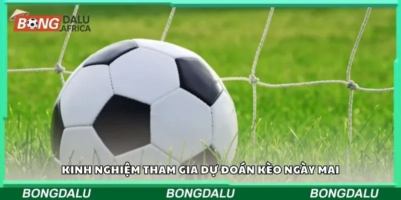 Kinh nghiệm tham gia dự đoán kèo ngày mai