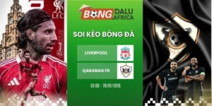 Soi kèo bóng đá Liverpool vs Qarabag FK