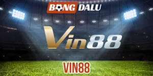 Vin88 cung cấp nhiều loại kèo hấp dẫn